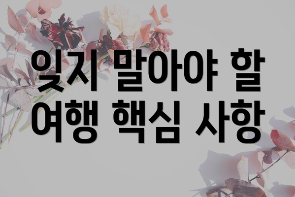 잊지 말아야 할 여행 핵심 사항