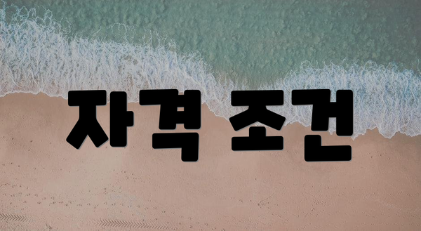 자격 조건