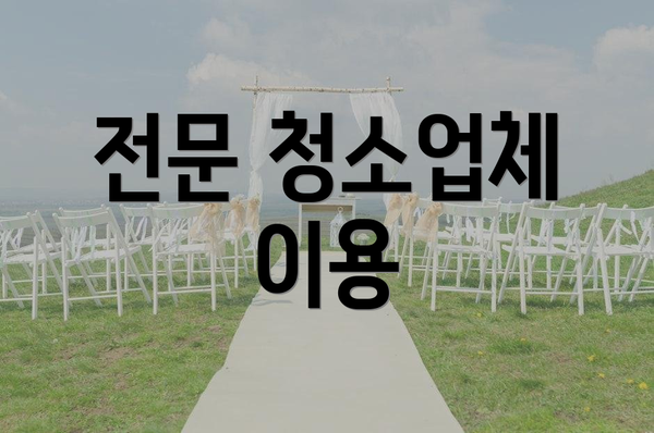 전문 청소업체 이용