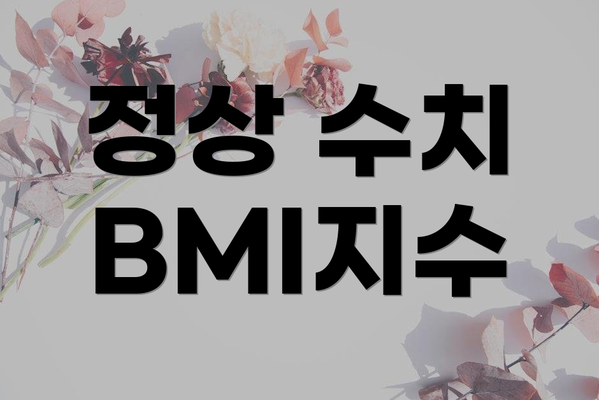 정상 수치 BMI지수