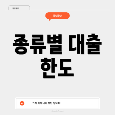 종류별 대출 한도