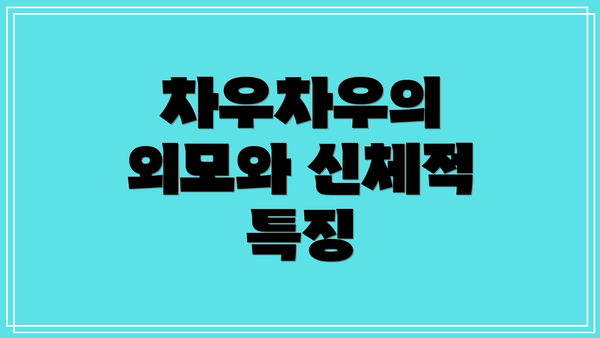 차우차우의 외모와 신체적 특징