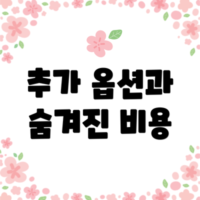 추가 옵션과 숨겨진 비용