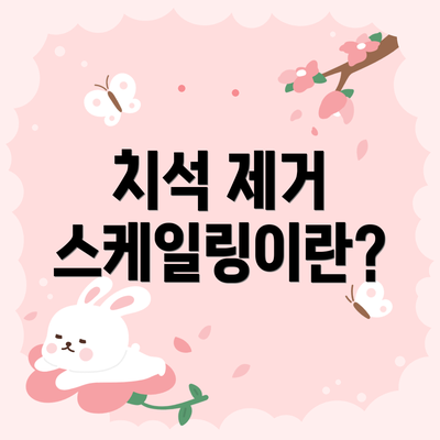 치석 제거 스케일링이란?