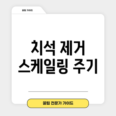 치석 제거 스케일링 주기