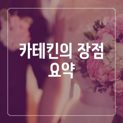 카테킨의 장점 요약