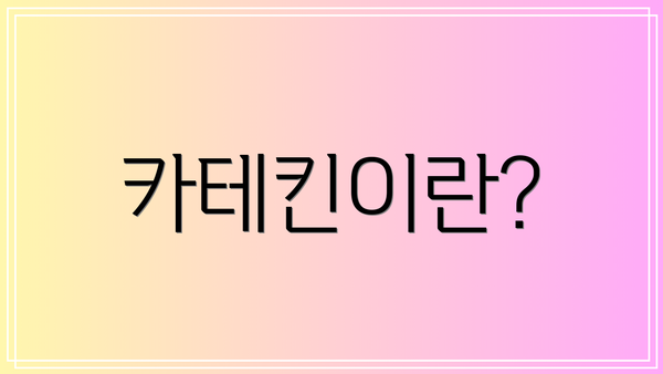 카테킨이란?