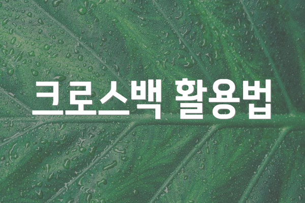 크로스백 활용법