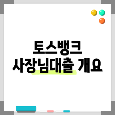 토스뱅크 사장님대출 개요