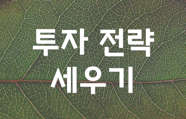 투자 전략 세우기