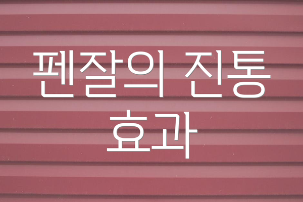 펜잘의 진통 효과