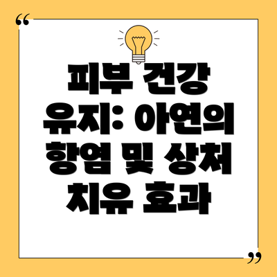 피부 건강 유지: 아연의 항염 및 상처 치유 효과