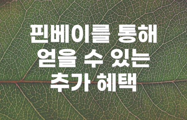 핀베이를 통해 얻을 수 있는 추가 혜택