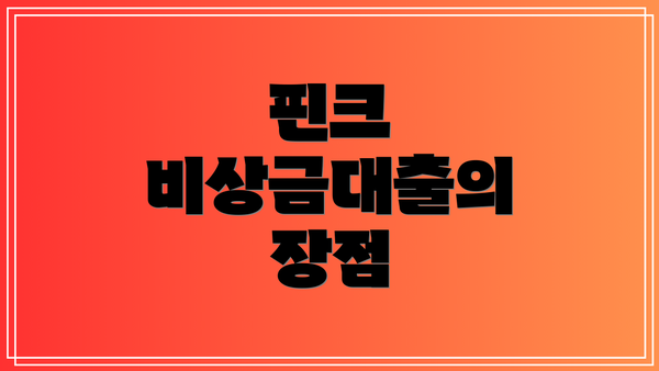 핀크 비상금대출의 장점