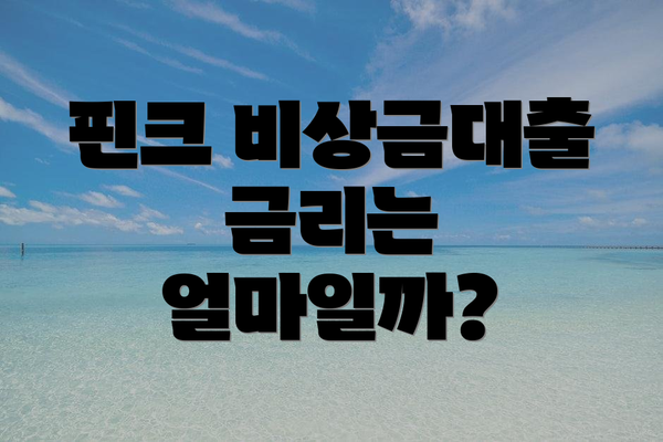 핀크 비상금대출 금리는 얼마일까?