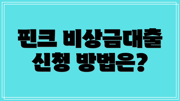 핀크 비상금대출 신청 방법은?