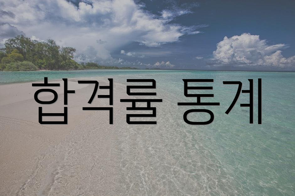 합격률 통계