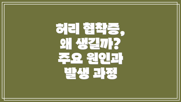 허리 협착증, 왜 생길까? 주요 원인과 발생 과정