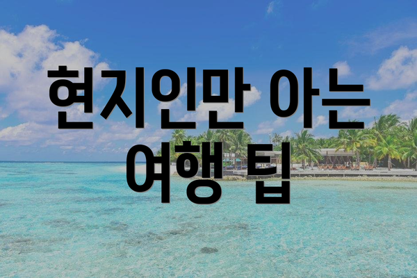 현지인만 아는 여행 팁