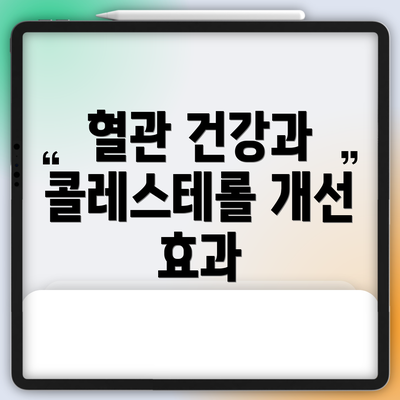 혈관 건강과 콜레스테롤 개선 효과