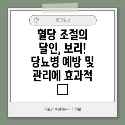 혈당 조절의 달인, 보리! 당뇨병 예방 및 관리에 효과적 🍚
