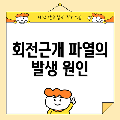 회전근개 파열의 발생 원인