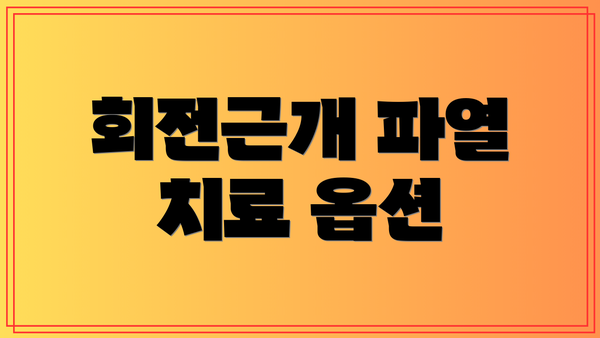 회전근개 파열 치료 옵션