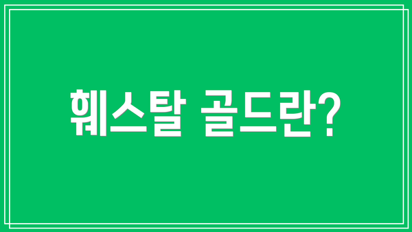 훼스탈 골드란?