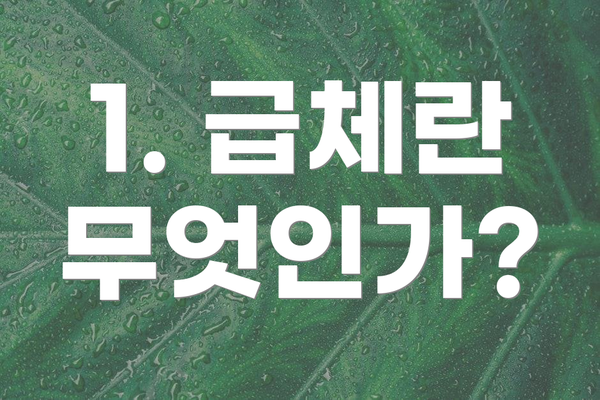 1. 급체란 무엇인가?