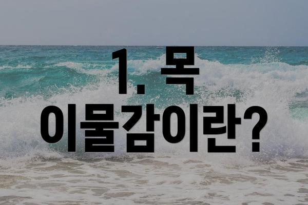 1. 목 이물감이란?