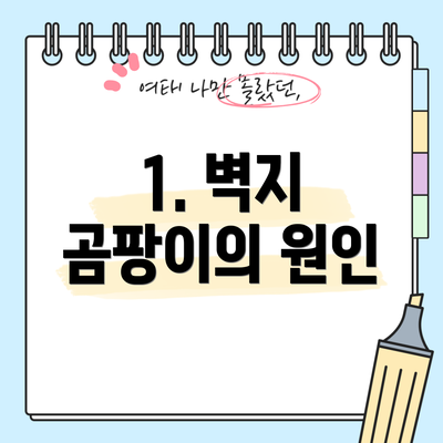 1. 벽지 곰팡이의 원인