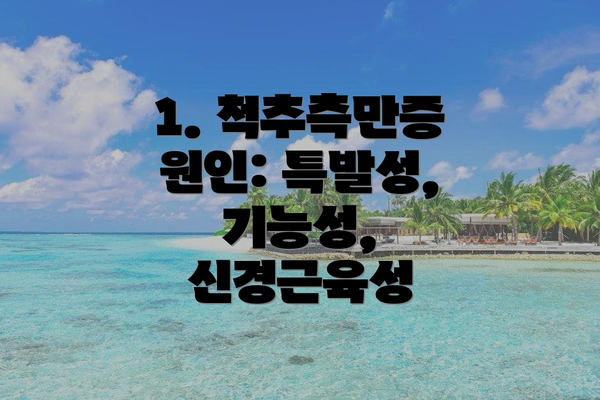 1. 척추측만증 원인: 특발성, 기능성, 신경근육성