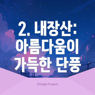 2. 내장산: 아름다움이 가득한 단풍