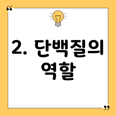 2. 단백질의 역할