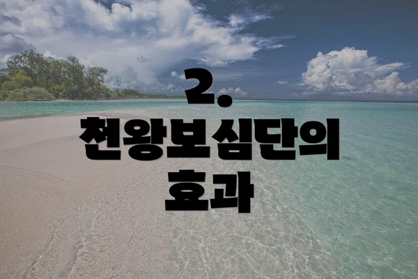 2. 천왕보심단의 효과