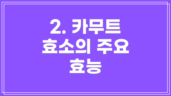 2. 카무트 효소의 주요 효능
