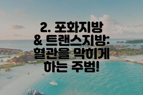 2. 포화지방 & 트랜스지방: 혈관을 막히게 하는 주범!