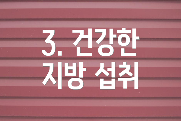 3. 건강한 지방 섭취