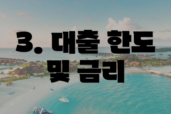 3. 대출 한도 및 금리