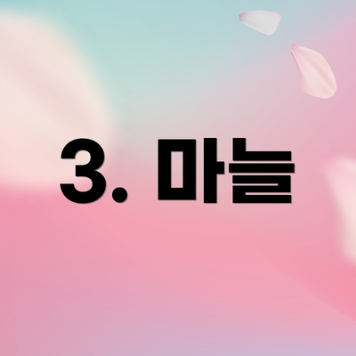 3. 마늘