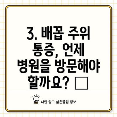 3. 배꼽 주위 통증, 언제 병원을 방문해야 할까요? 🚑