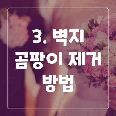 3. 벽지 곰팡이 제거 방법