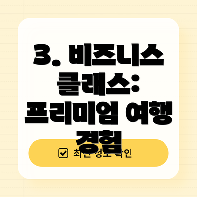 3. 비즈니스 클래스: 프리미엄 여행 경험