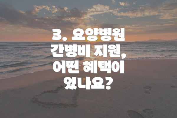 3. 요양병원 간병비 지원, 어떤 혜택이 있나요?