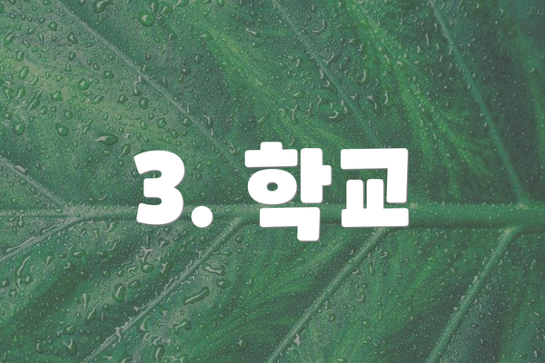 3. 학교
