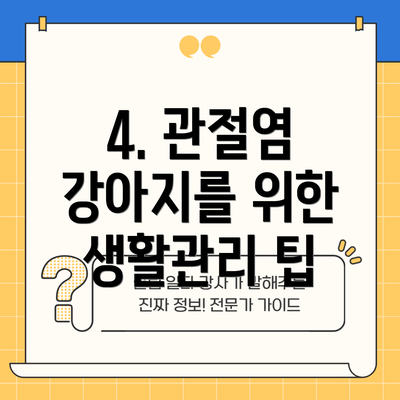 4. 관절염 강아지를 위한 생활관리 팁