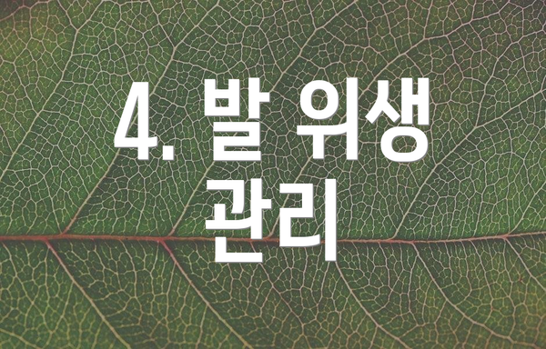 4. 발 위생 관리