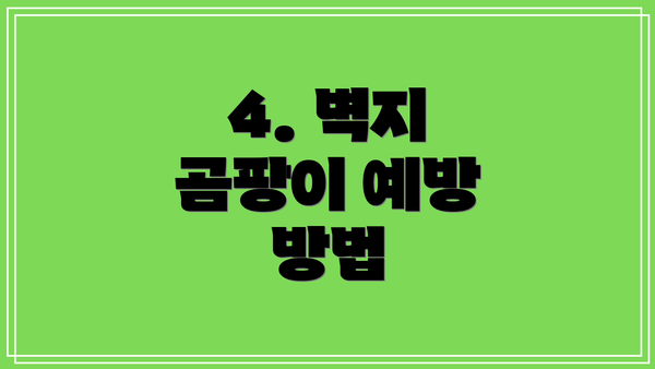 4. 벽지 곰팡이 예방 방법