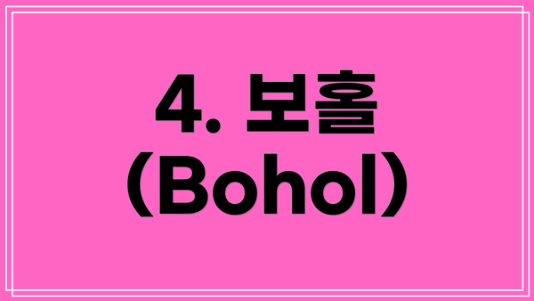 4. 보홀 (Bohol)
