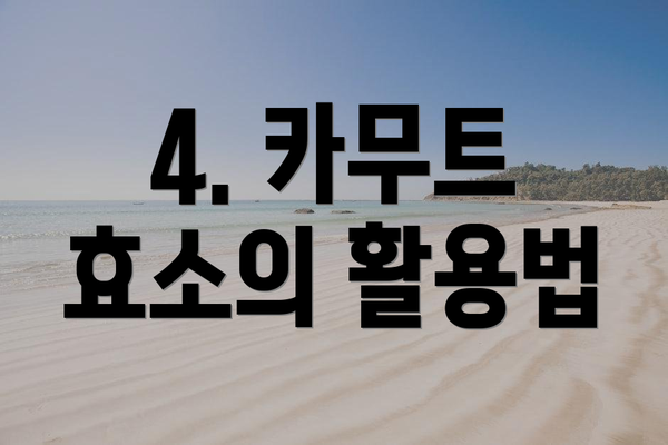 4. 카무트 효소의 활용법